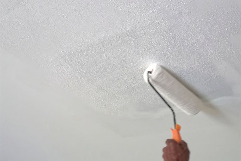 House Ceiling Painting in Kansas City, KS